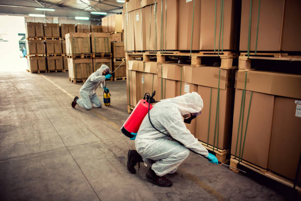 Best Mosquito Control Services  in Norway, MI
