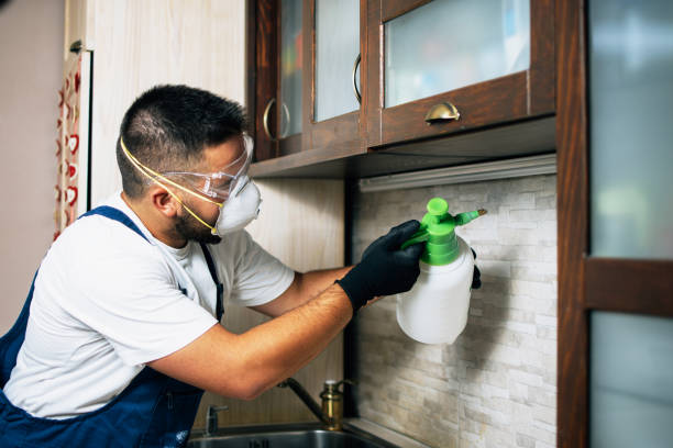 Best Bed Bug Extermination  in Norway, MI