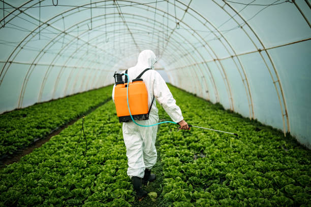 Best Affordable Pest Control Services  in Norway, MI
