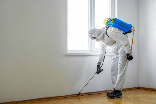 Best Pest Prevention Services  in Norway, MI