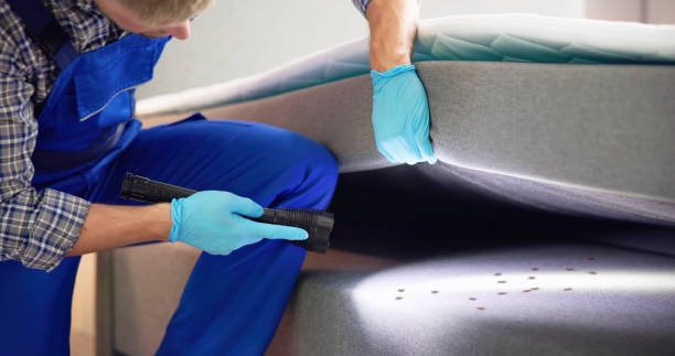 Best Local Pest Control Services  in Norway, MI